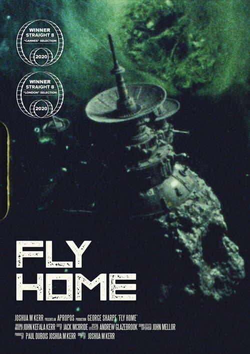 Fly Home poster