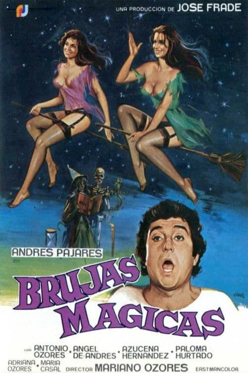 Magical Witches poster