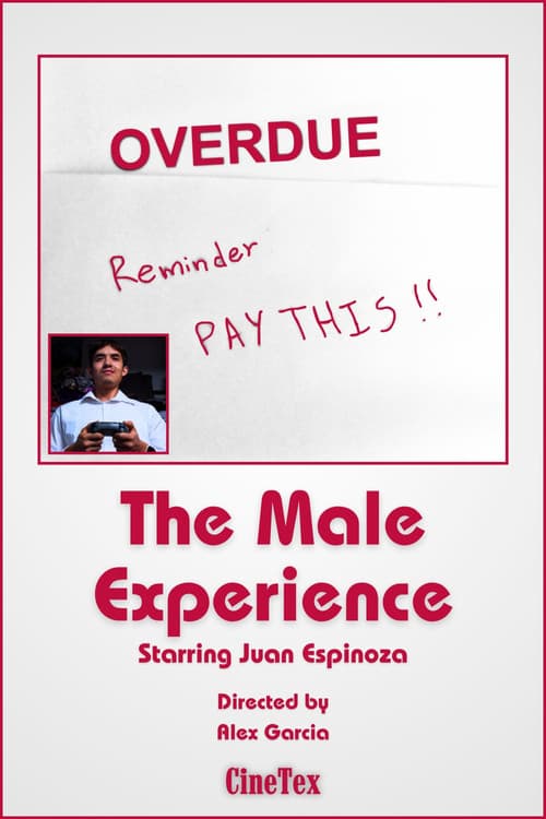 The Male Experience poster