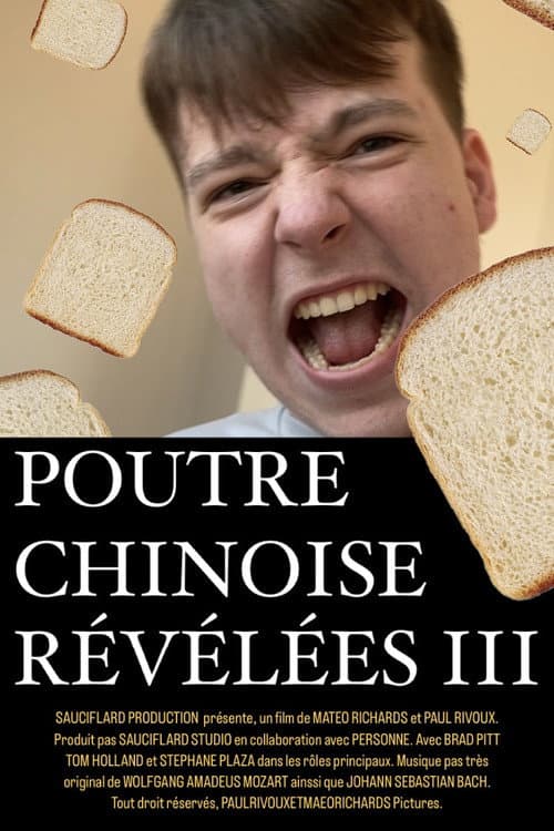 Poutre Chinoise Révélée 3 poster