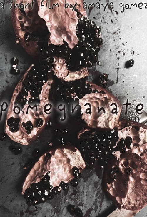 pomegranate poster