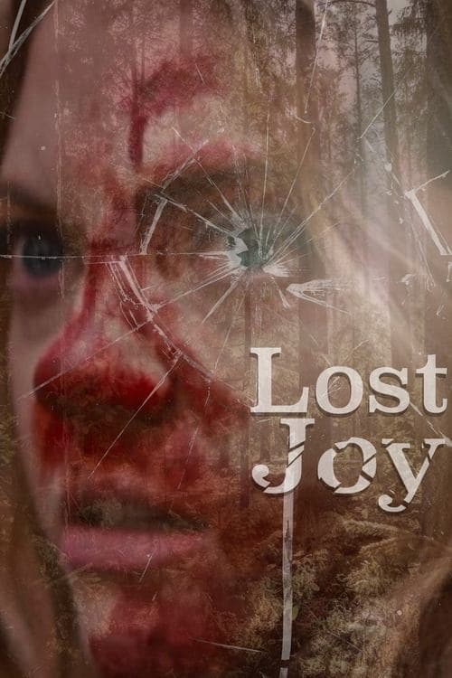 Lost Joy poster