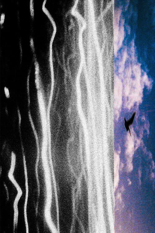 City with Dreams of the Sea poster