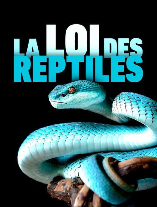 The Law of Reptiles poster