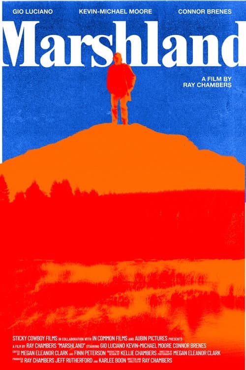 Marshland poster