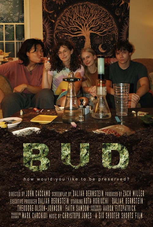 BUD poster