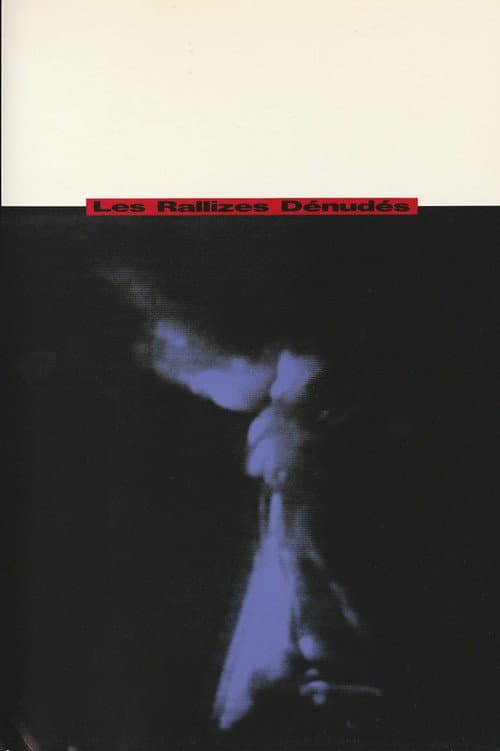 Les Rallizes Dénudés poster
