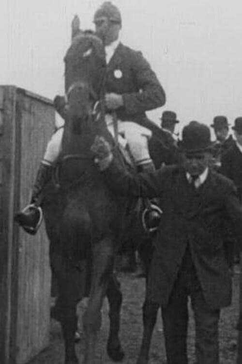 Aylesbury Hunt Steeplechases poster