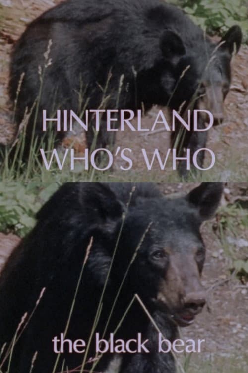 Hinterland Who's Who: Black Bear poster