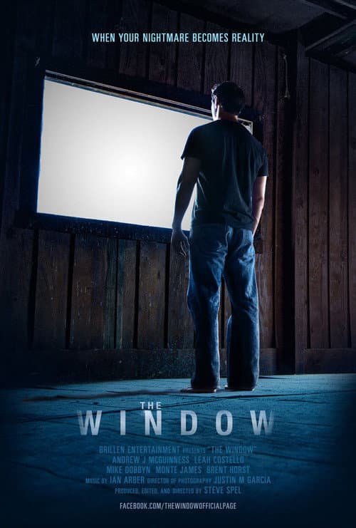The Window poster