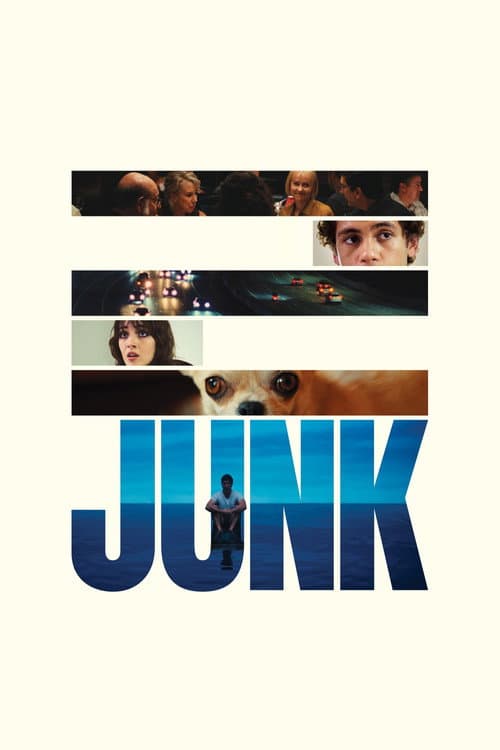 Junk poster