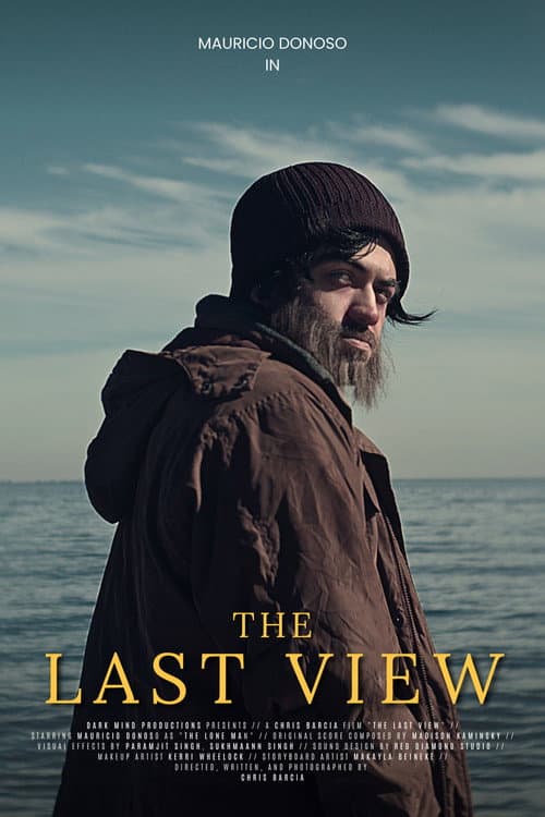 The Last View poster