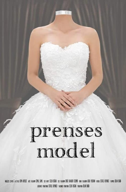 Princess Ball Gown poster