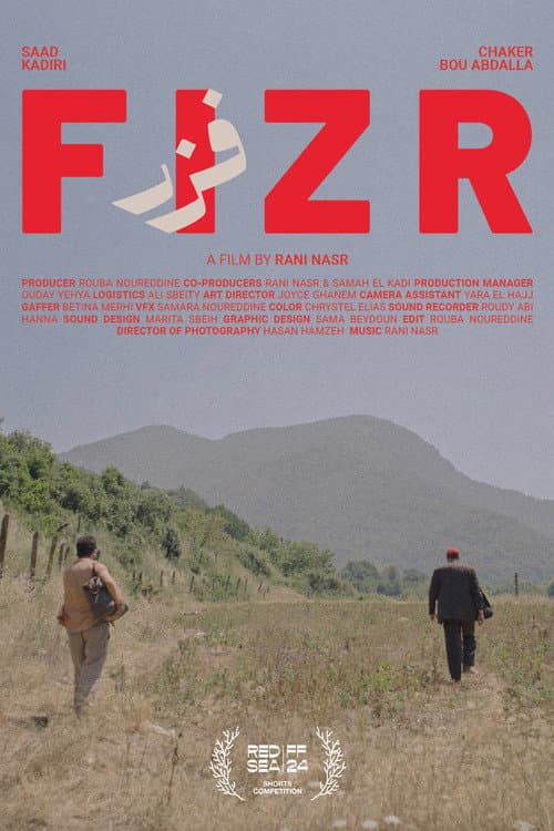 Fizr poster