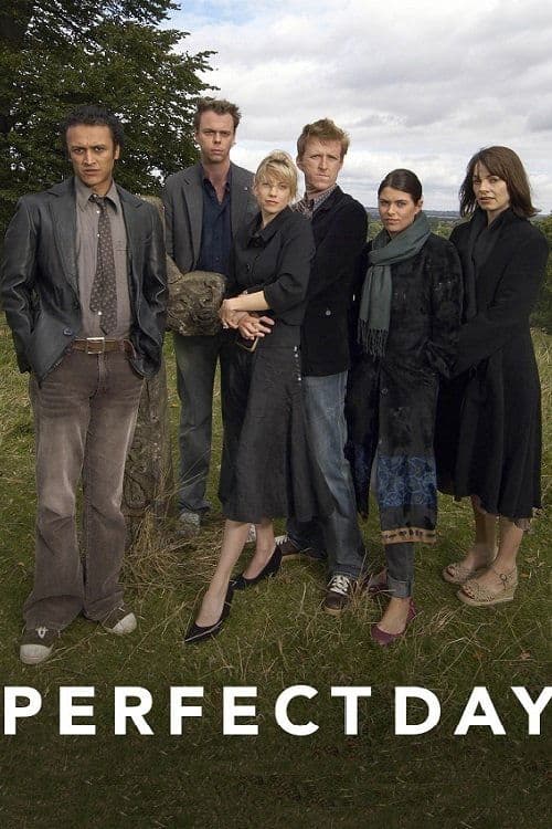 Perfect Day poster