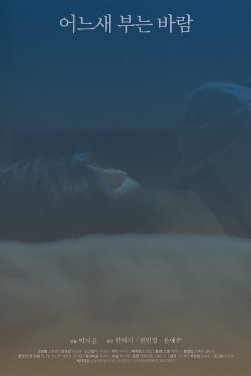The Consolation of the Wind poster