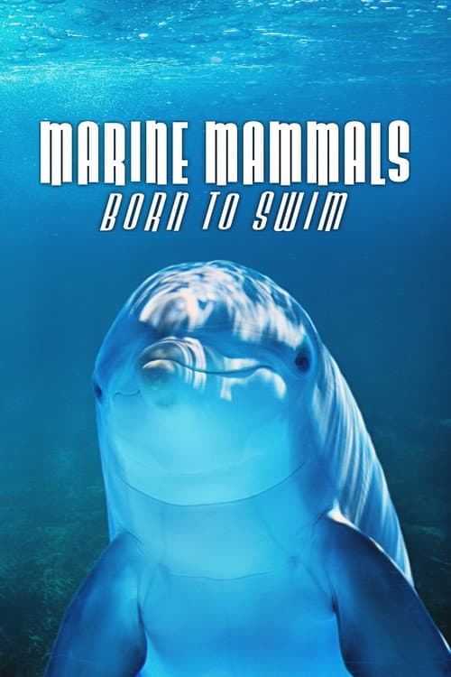 Marine Mammals - Born to Swim poster
