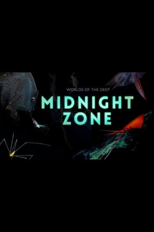 Into the Midnight Zone poster