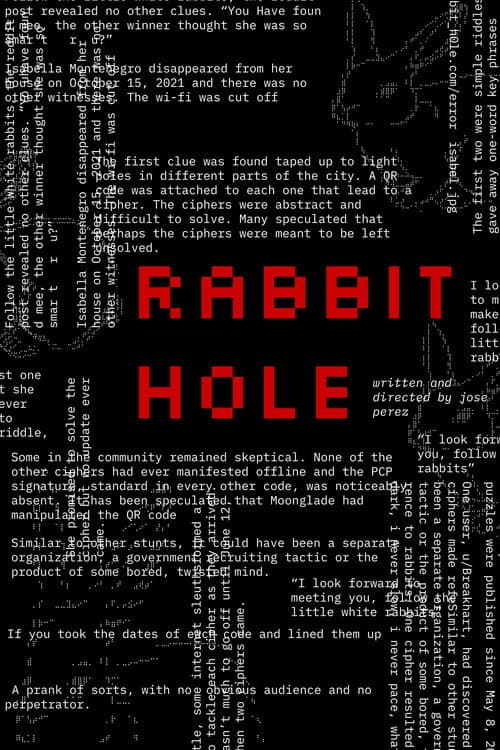 Rabbit Hole poster
