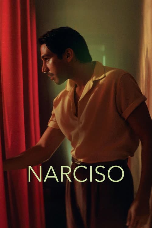 Narciso poster