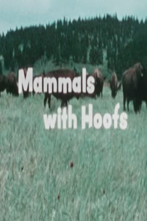 Mammals With Hoofs poster