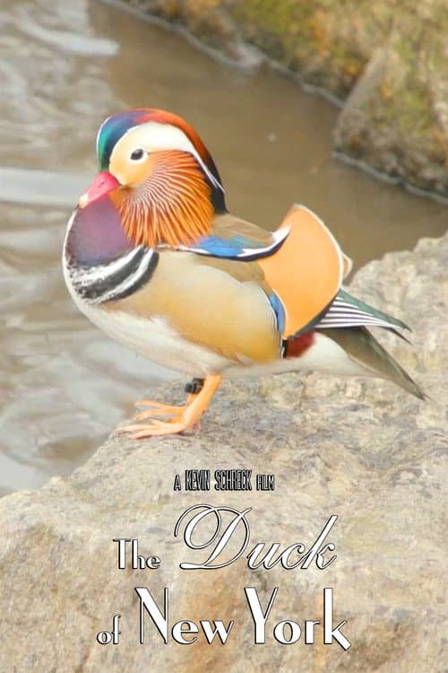 The Duck of New York poster