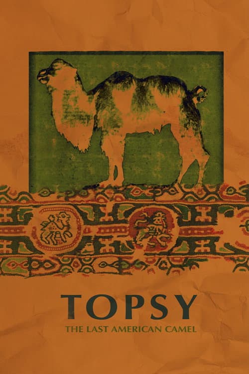 Topsy: The Last American Camel poster