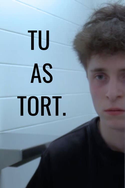 TU AS TORT. poster