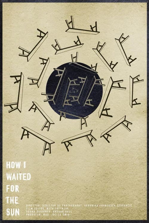 How I Waited for the Sun poster
