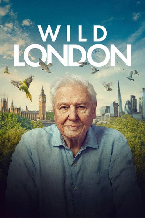 Wild London poster