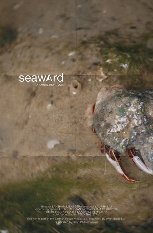 seaward poster