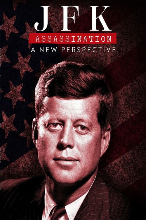 JFK Assassination: A New Perspective poster