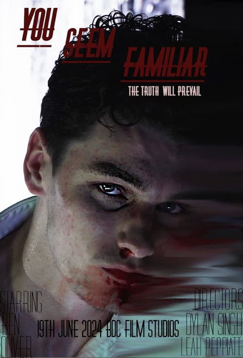 You Seem Familiar poster