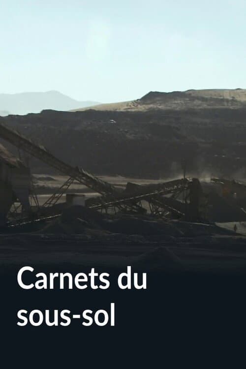 Carnets du sous-sol poster