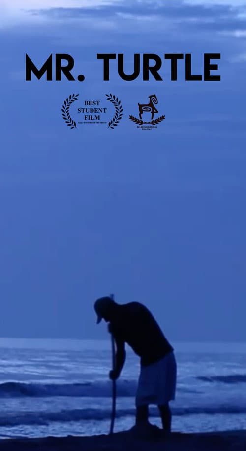 Mr. Turtle poster