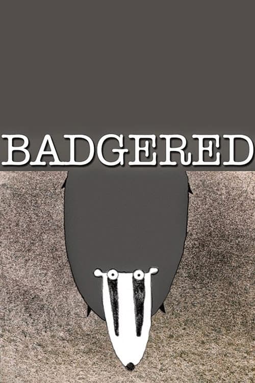 Badgered poster