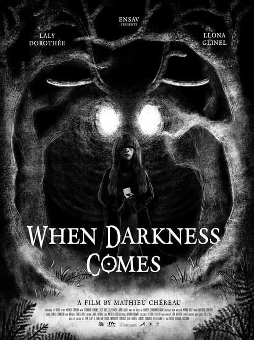When Darkness Comes poster