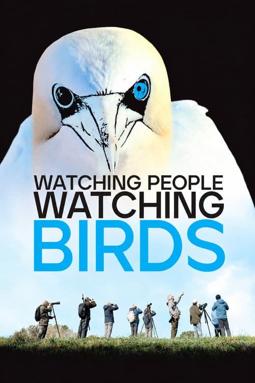 Watching People Watching Birds poster