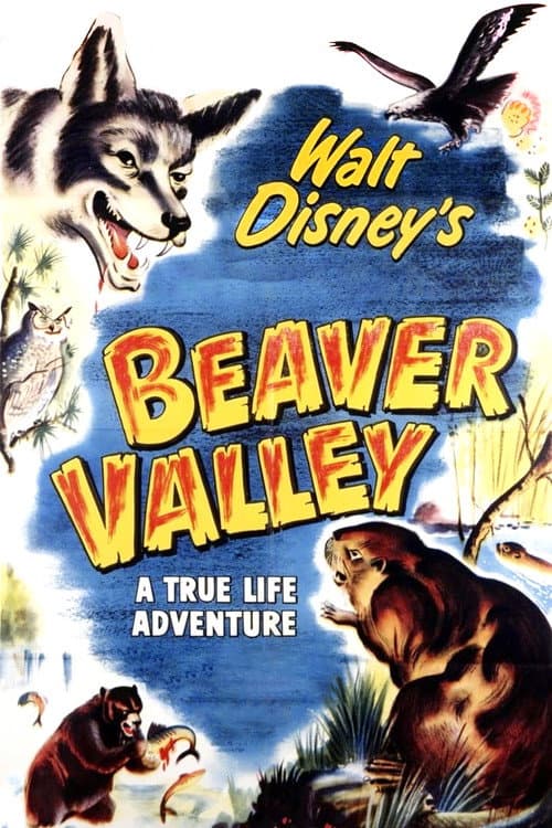 Beaver Valley poster