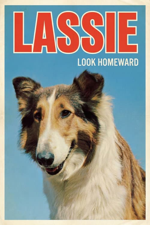 Look Homeward poster