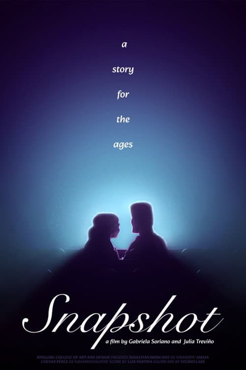 Snapshot poster