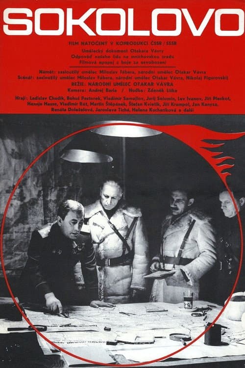 Sokolovo poster