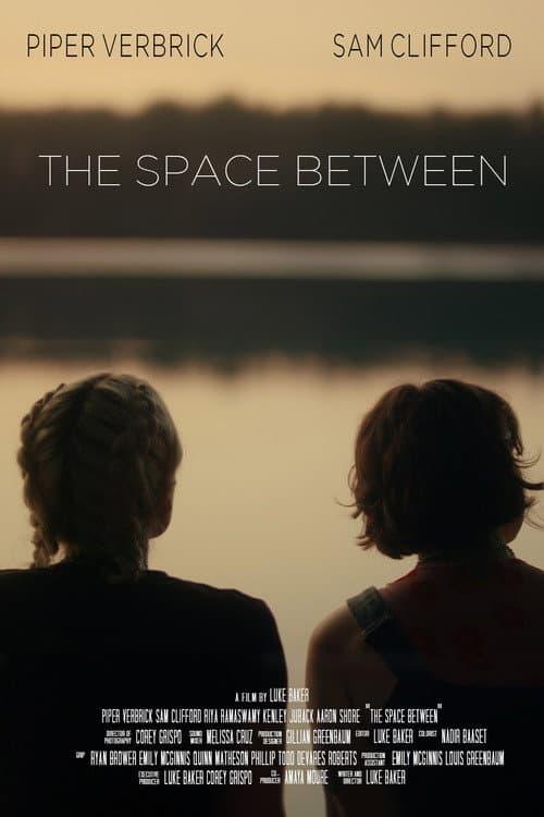 The Space Between poster