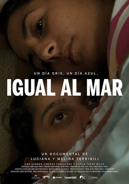 A gray day, a blue day, just like the sea poster