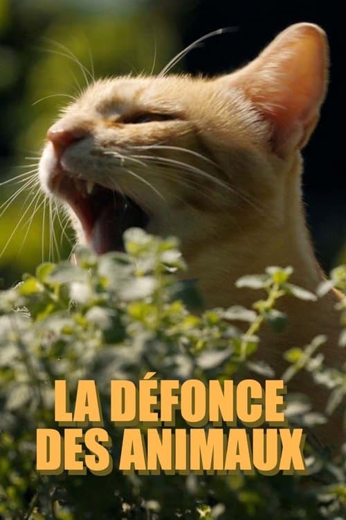 La défonce des animaux poster