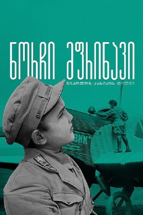 Gogi - The Young Pilot poster
