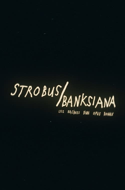 Strobus / Banksiana : les racines d'un opus double poster