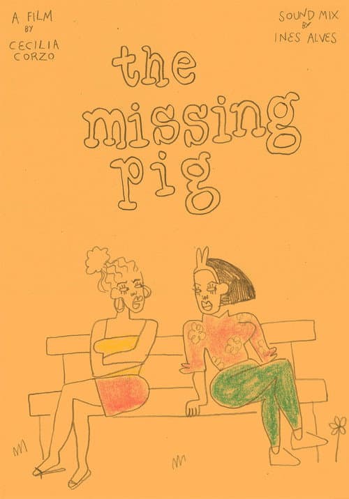 The Missing Pig poster