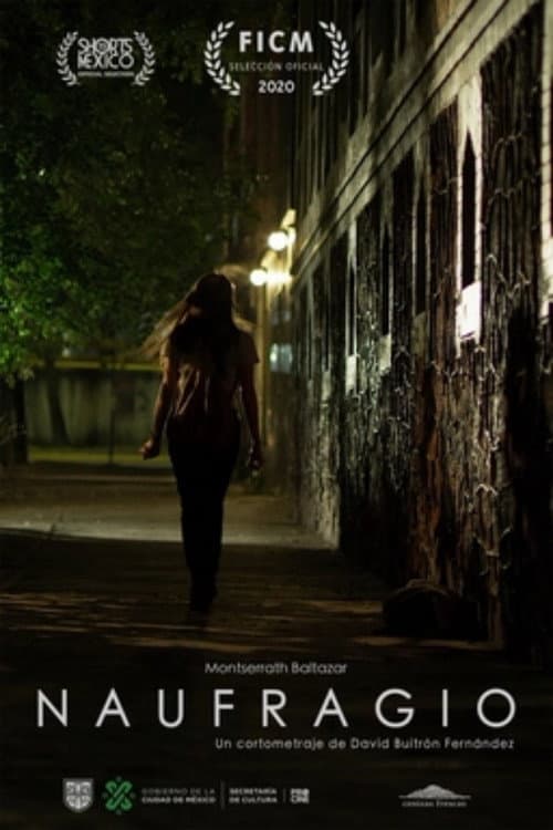 Adrift poster