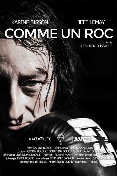 Like a Rock poster